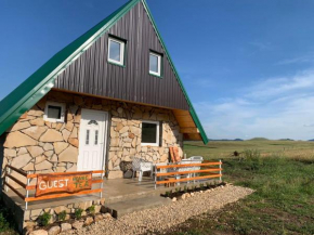 GUEST HOUSE TEA ORGANIC FOOD and DEGUSTATION TEA ZABLJAK